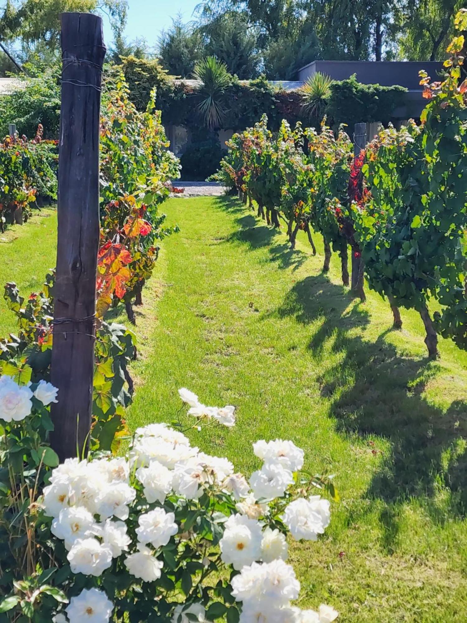Finca La Puebla Hotel La Consulta Екстериор снимка