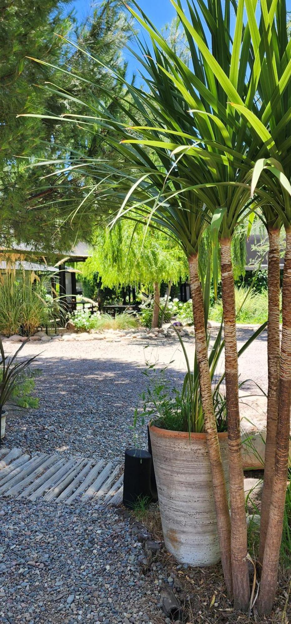 Finca La Puebla Hotel La Consulta Екстериор снимка