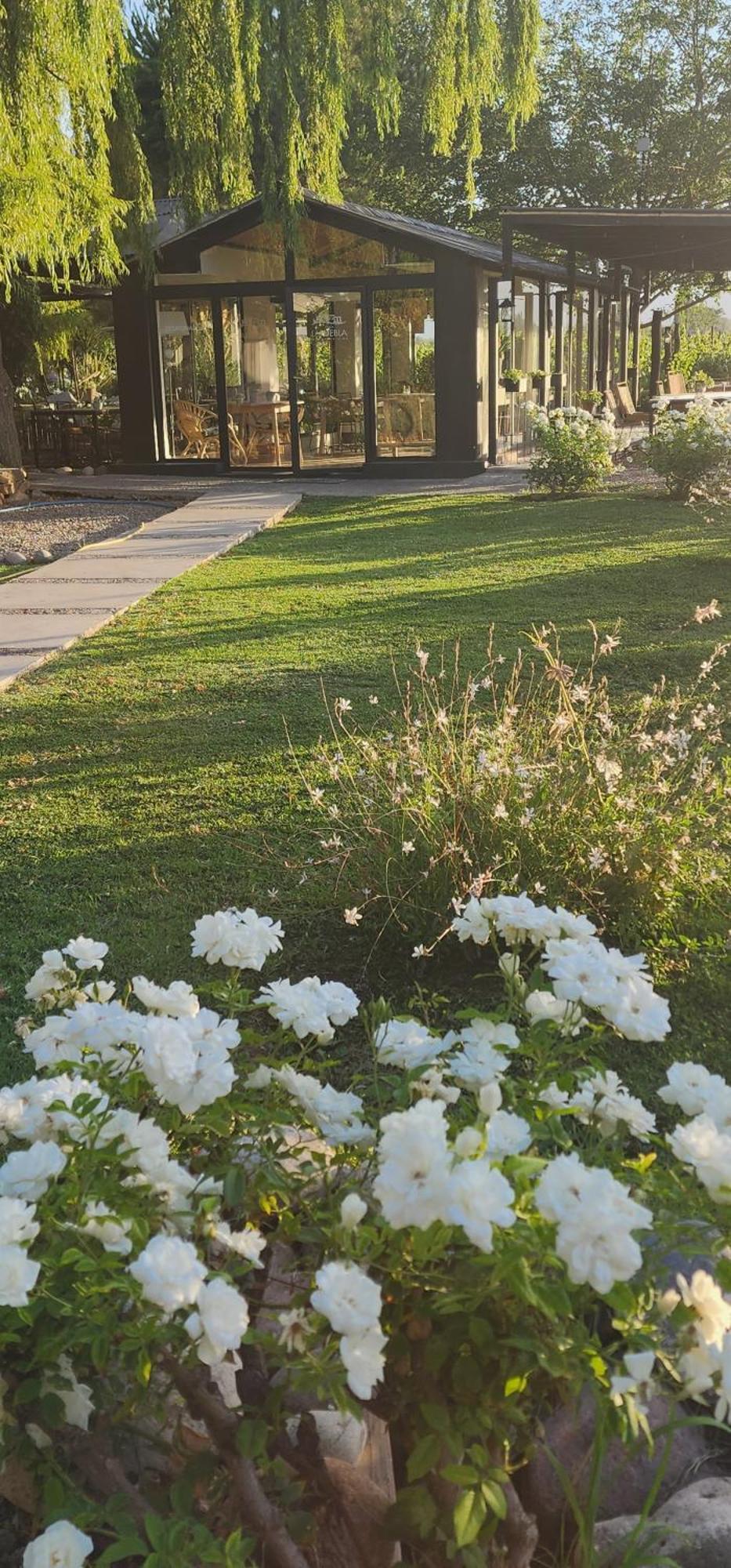 Finca La Puebla Hotel La Consulta Екстериор снимка
